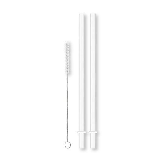 Straw Care Set (2 Straws + 1 Brush)